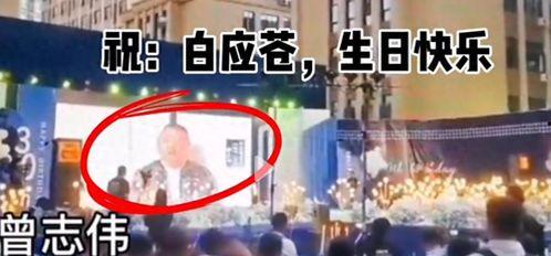 曾志伟爆料江湖视频播放,曾志伟揭秘江湖视频播放内幕 第2张 曾志伟爆料江湖视频播放,曾志伟揭秘江湖视频播放内幕 第2张